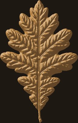 Oak Leaf