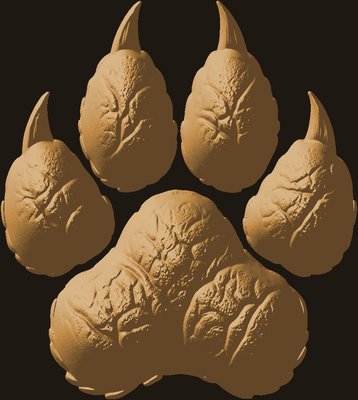 Wolf Paw Print